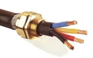 CMP BW25 LSF Brass Cable Gland (Zero Halogen) 19.9-27.4mm