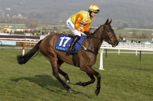 Remembering Victor Thorne Novices´ Limited Handicap Chase 