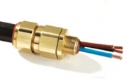 Barrier Glands Exd Flameproof (ATEX) Cable Glands - CMP PX2K-40