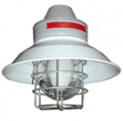 FEAM EVAC Hazardous Area Lighting  Zone 1 & Zone 2 Incandescent and Discharge Lamps 