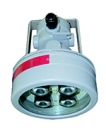 FEAM EVAC-LED Hazardous Area Lighting  Zone 1 & Zone 2 LED Lamps