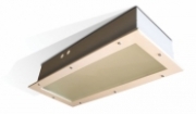 Zone 1 (ATEX) Recessed Luminaires Hadar HDL102 - (Twin 36 Watts)