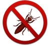Termite Resistant Cable & Cable Joints