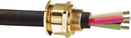 CMP Cable Glands - A2 Unarmoured Cable Glands (LSF Solo)