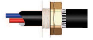 BW Brass Cable Gland