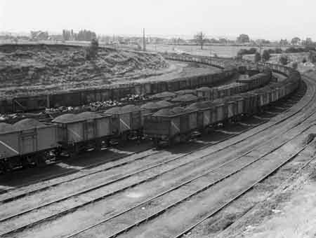 Coal