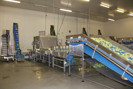 Marechal DSN Plugs & Sockets For Food Industry